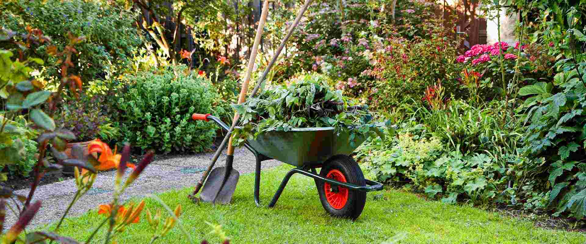 giardinaggio genzano