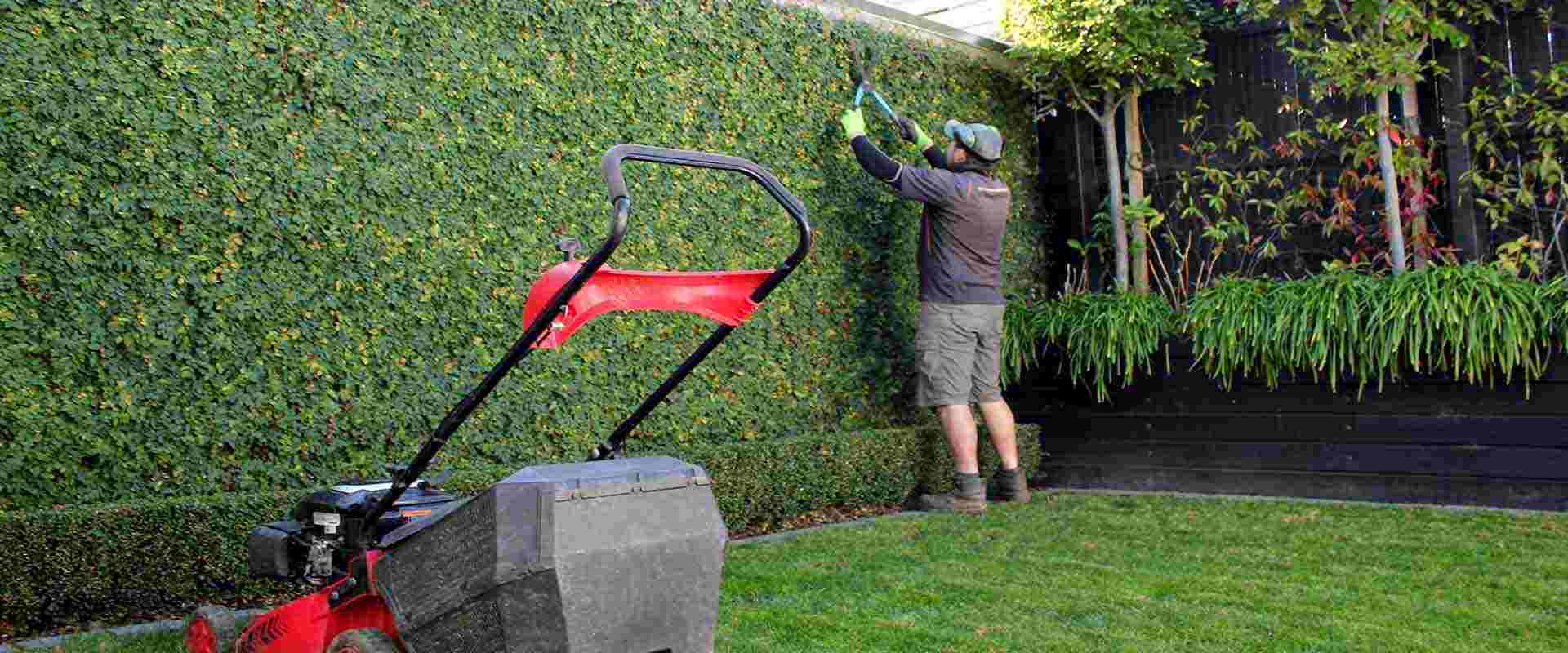 manutenzione giardino genzano