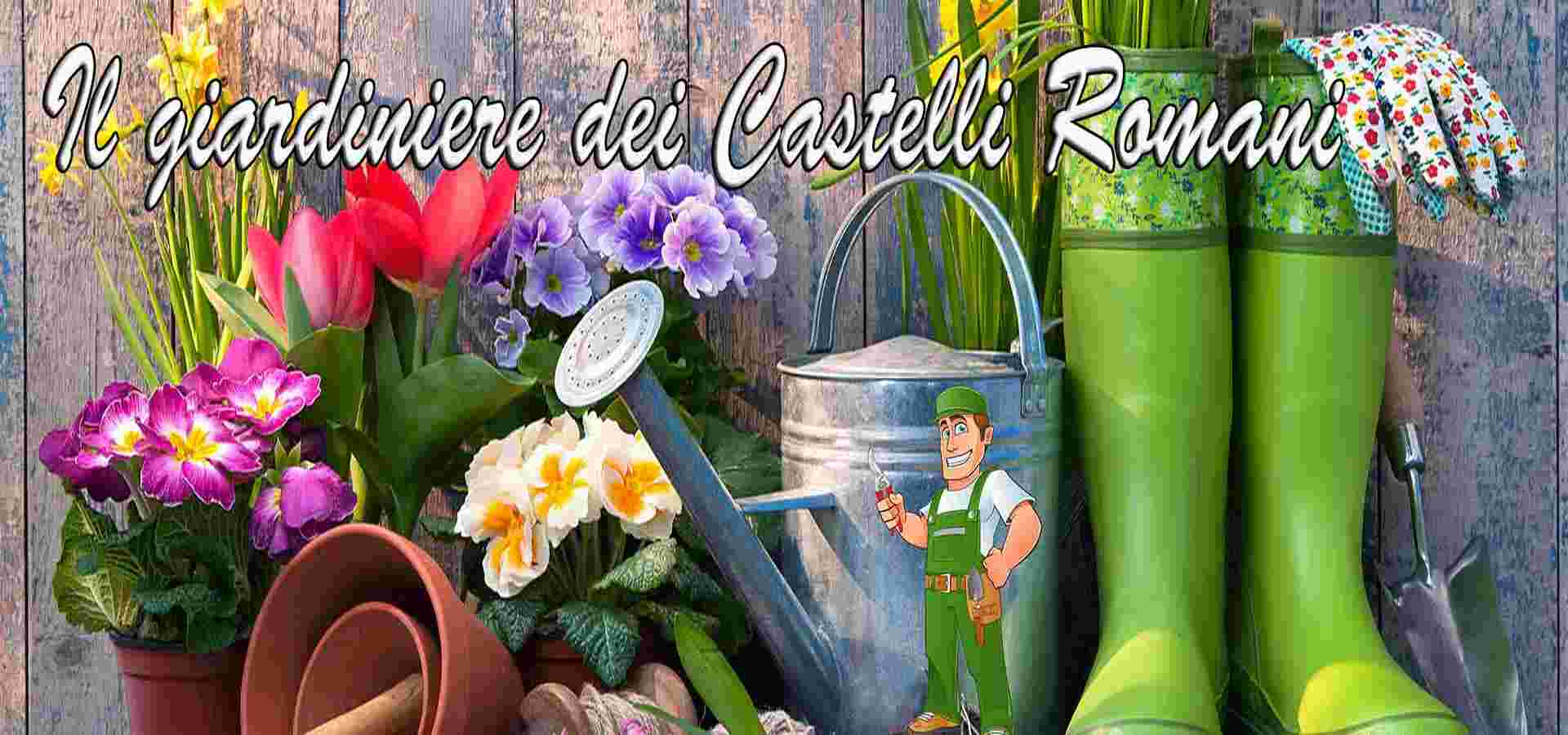 servizio giardiniere pavona castelli romani