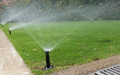  giardinaggio albano laziale rocca di papa ariccia genzano