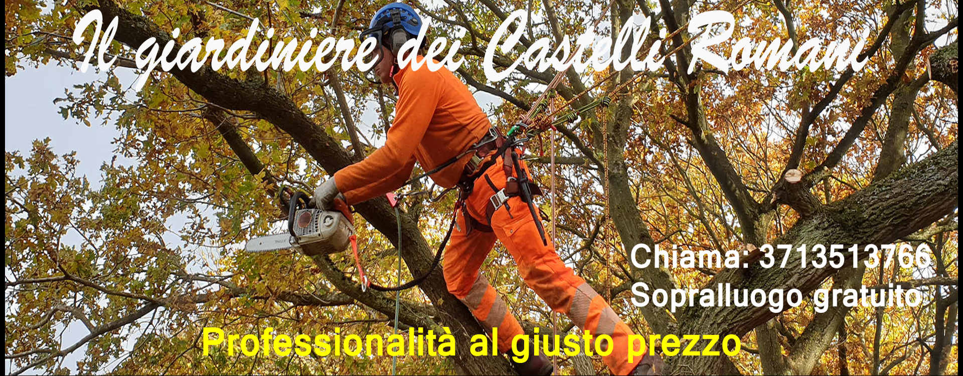  giardiniere castelli romani albano laziale, rocca di papa, ariccia, castel gandolfo, genzano, lanuvio, frascati , grottaferrata, velletri, marino