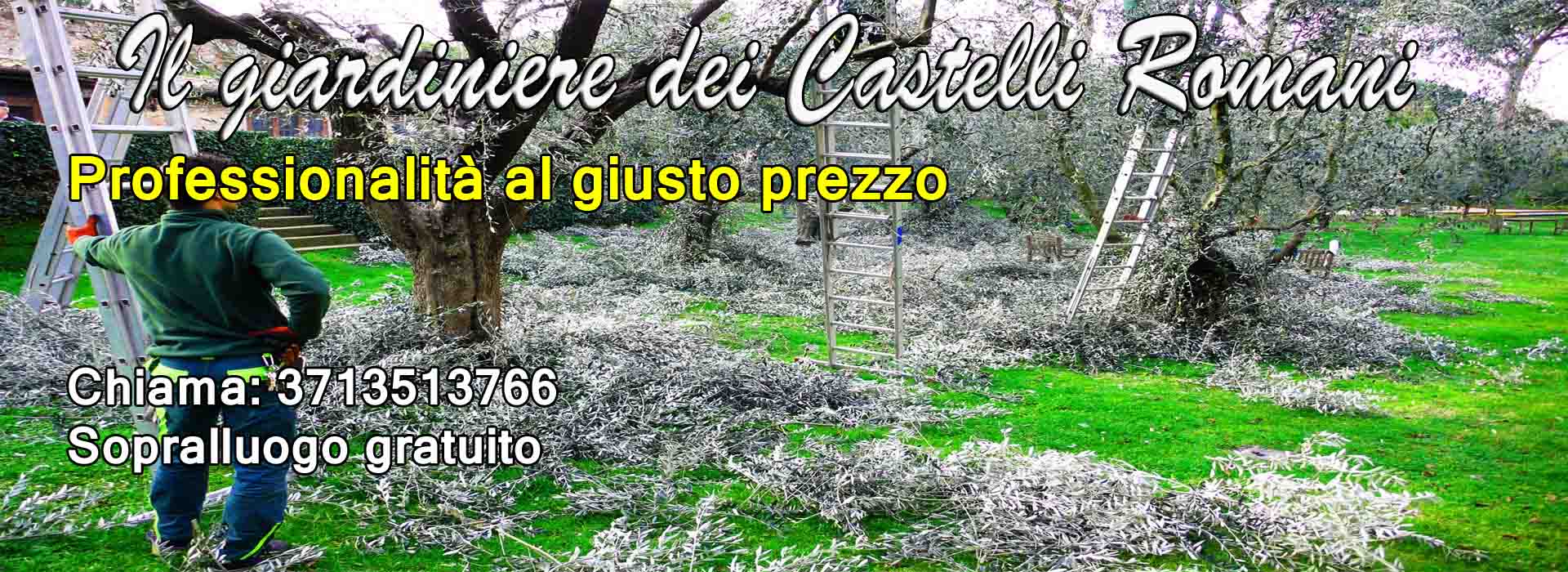  giardiniere castelli romani albano laziale, rocca di papa, ariccia, castel gandolfo, genzano, lanuvio, frascati , grottaferrata, velletri, marino